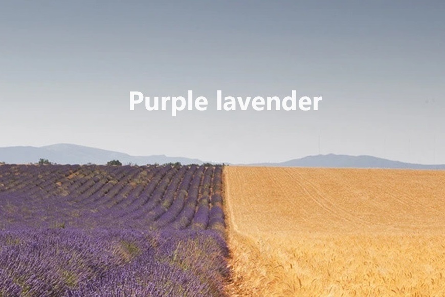 Purplelavender啫喱，輕盈造型，打造男士自信風(fēng)采每一天